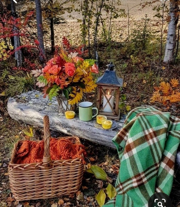 Screenshot_20231222_180111_Pinterest