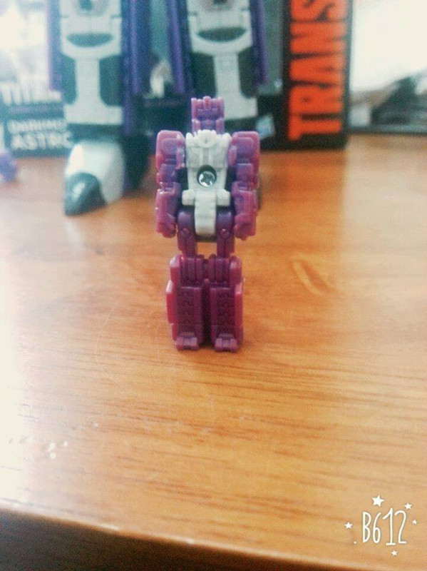 13882274_1070101613076247_5413188319804333713_n