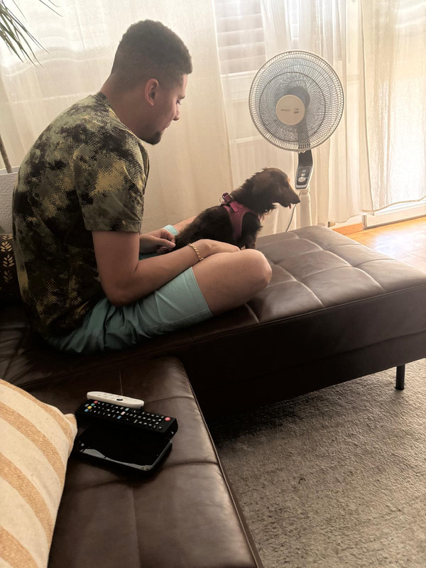 [Image: IMG-20250628-WA0006.jpg]