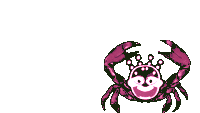 Dancing Crab