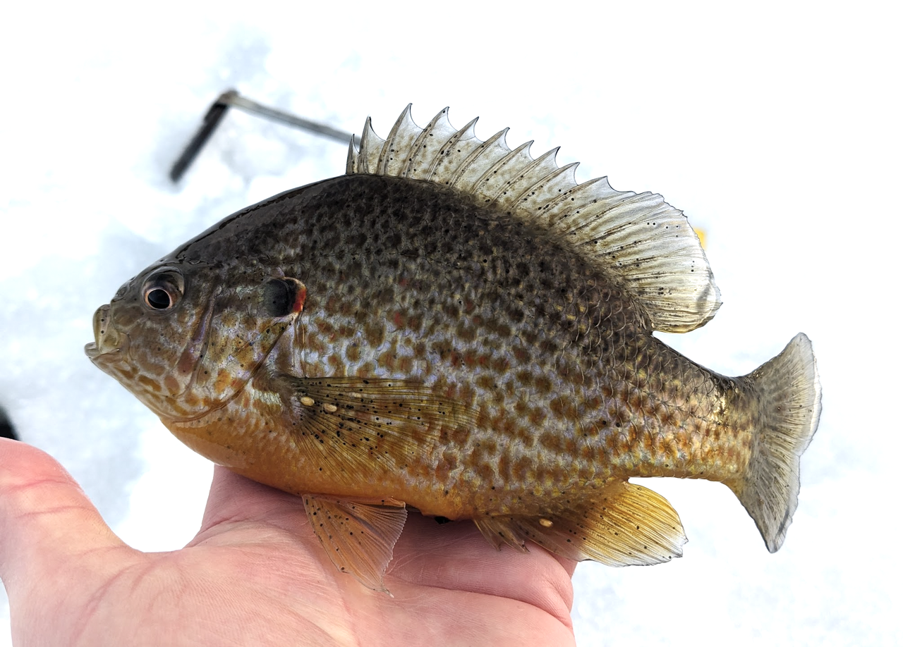 Screenshot 2026 03 01 at 6 53 19 AM