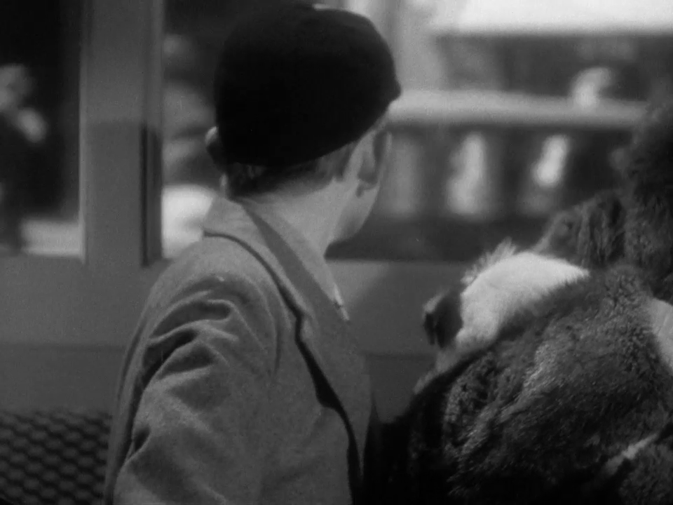 vlcsnap-2023-07-30-16h57m20s267