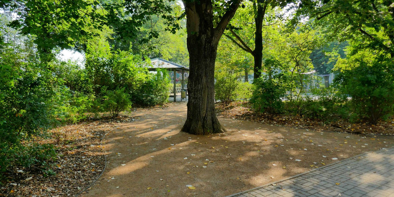 Bild: https://i.postimg.cc/SK6G3yNW/P1230029.jpg