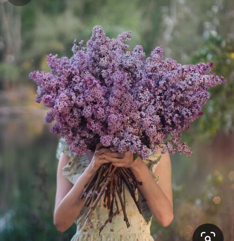 Screenshot_20240404_194556_Pinterest