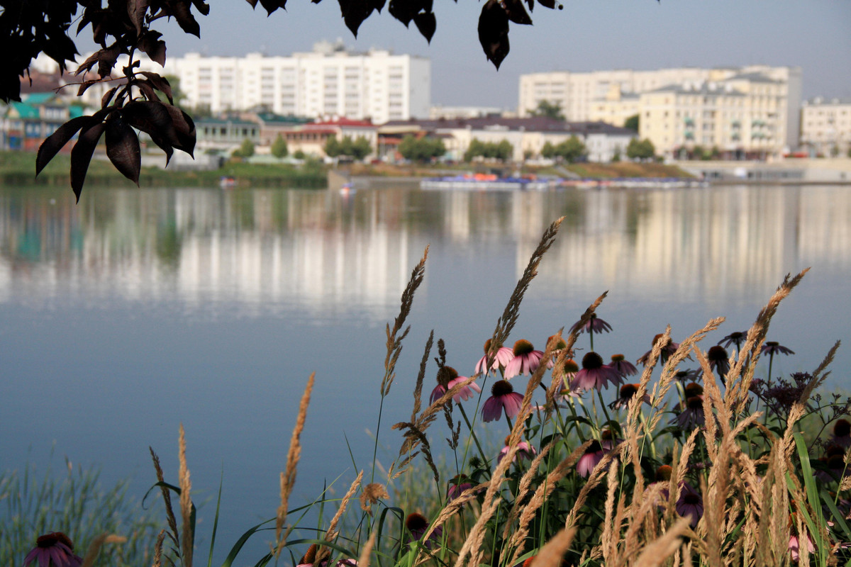 IMG_8746_обработано