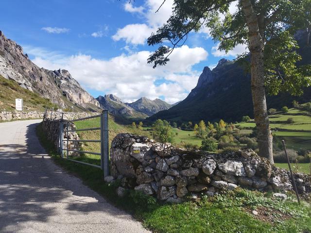Otro puente en Asturias - Blogs de España - Domingo 11 Octubre. Ruta Valle del Lago (Somiedo) (22)