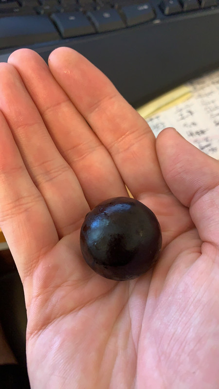 0DB023A5-DC1E-4782-A550-DC26F0AB1DA7