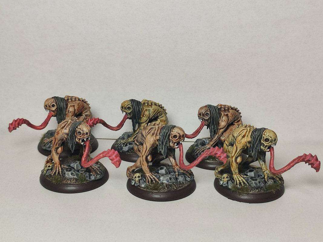 WhatsApp Image 2023-11-01 at 17.48.09(3)