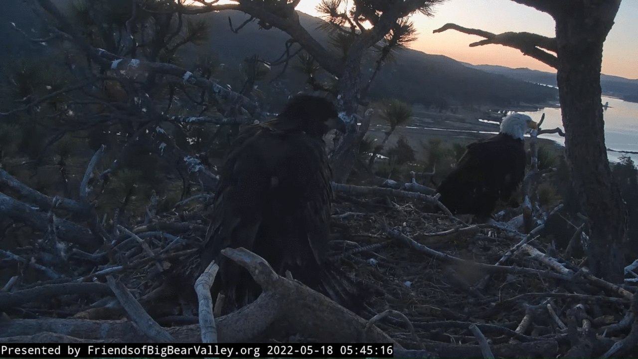 Webp.net-gifmaker (8)