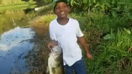 https://i.postimg.cc/SK70nJB3/4.gif