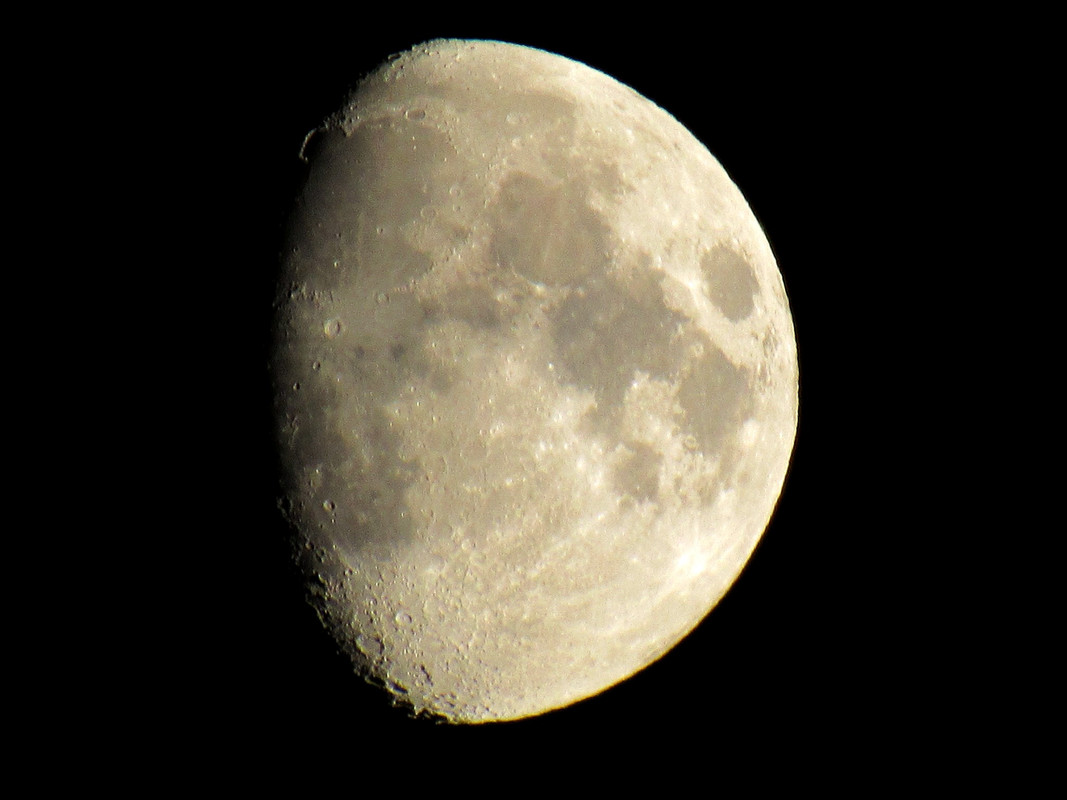 IMG_2339