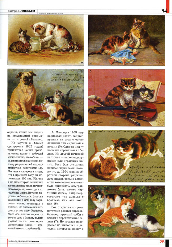 Друг кошек 2006-08-26