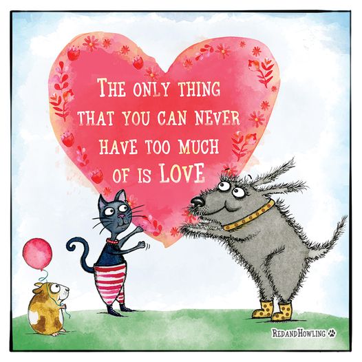 [Image: 395495349-884027403083382-8587328704714406538-n.jpg]