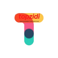 Topzidi Logo