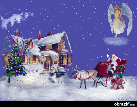 ob-0-00505100-1324071369