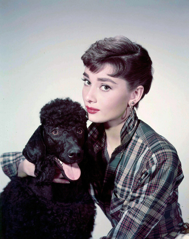 AudreyHepburn_mc81