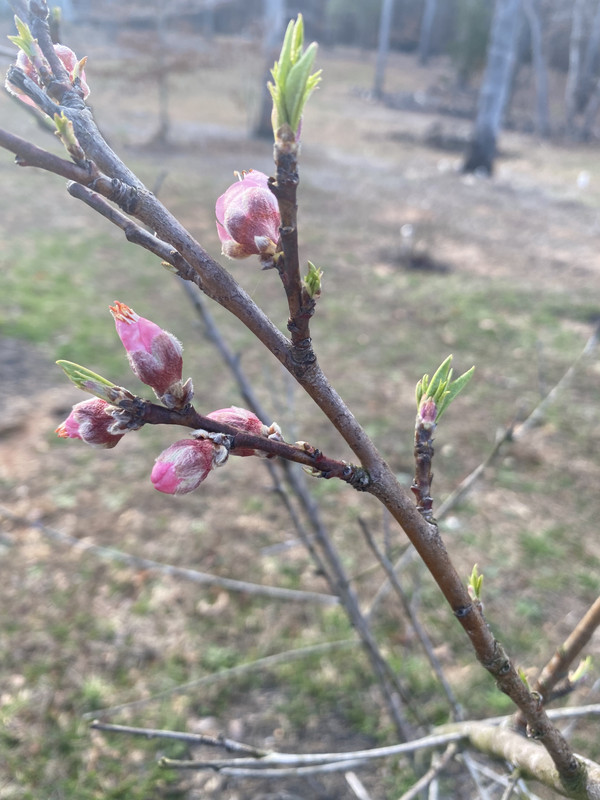 788E97A8-58A5-463C-B1CE-095892F274D5