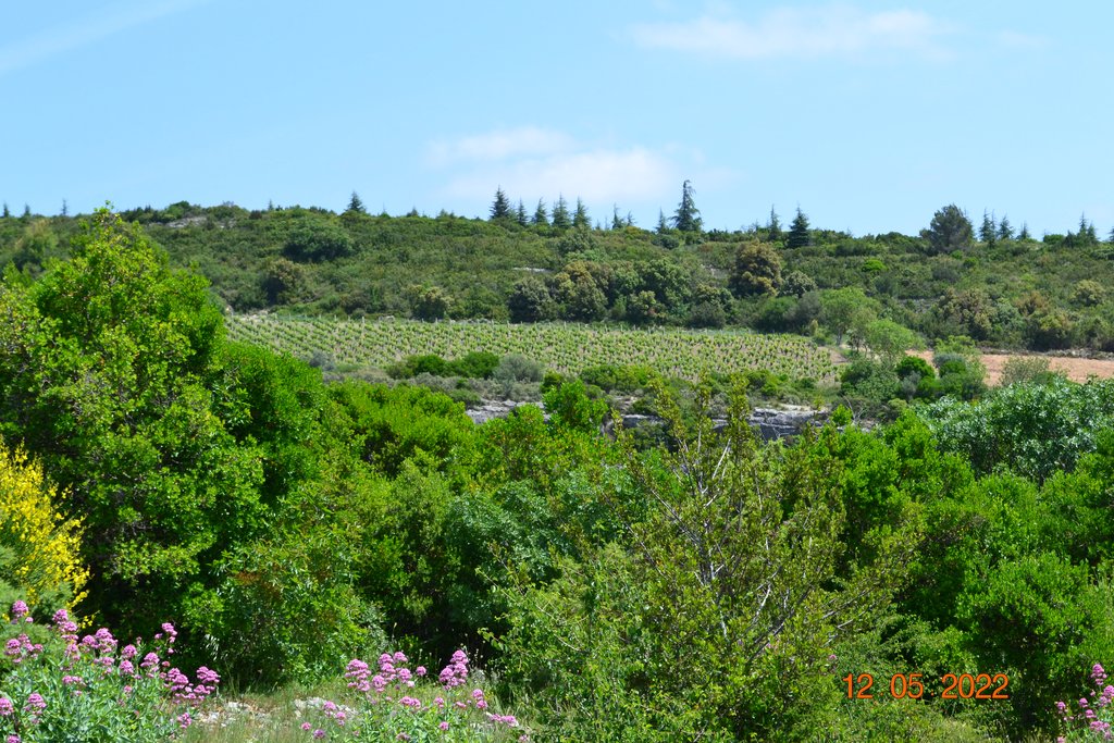 Rallye touristique Occitanie-Terres du Sud, 11-15 mai 2022 DSC-7149