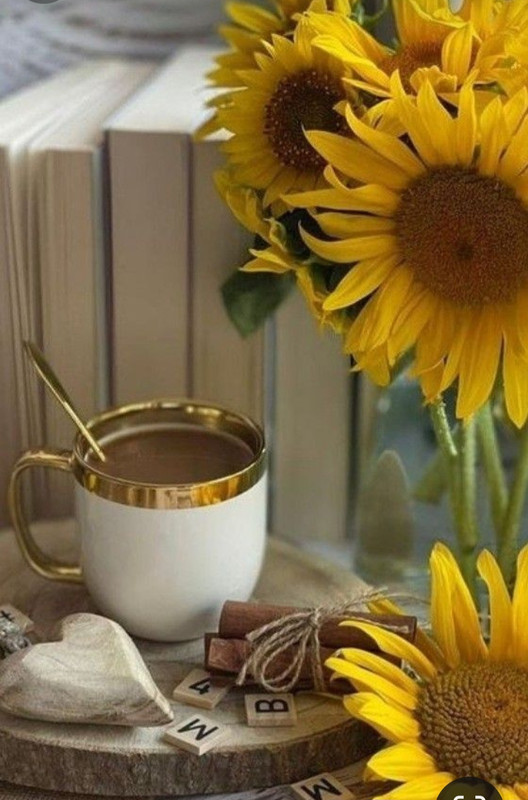 Screenshot_20240329_132315_Pinterest