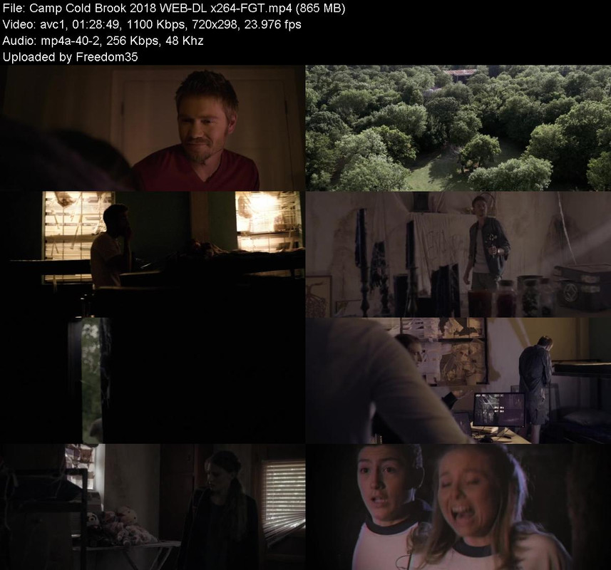 Camp-Cold-Brook-2018-WEB-DL-x264-FGT.jpg