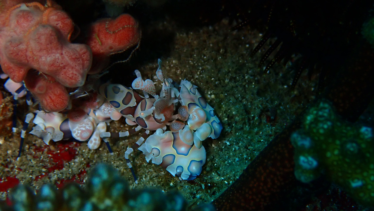 90D1784A-6249-405B-8AB0-496827D333E0