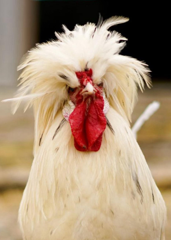 Whats App Image 2025 10 24 at 20 11 46