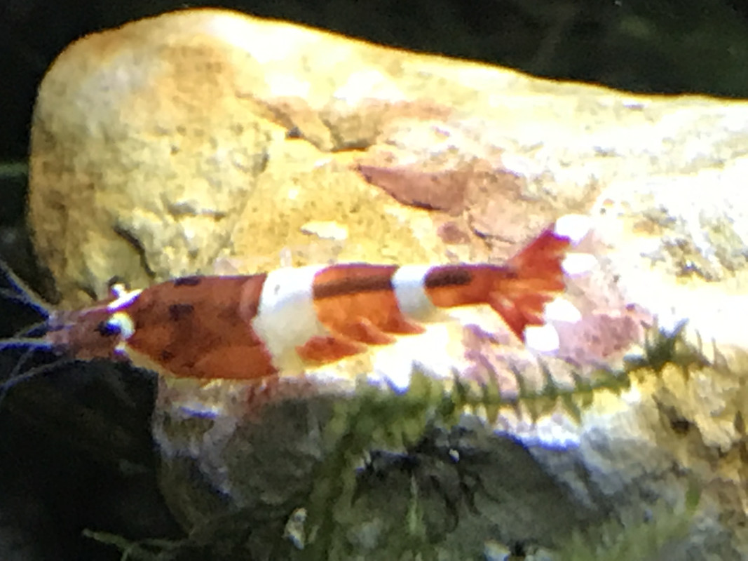 2EA46ABE-33C5-47FD-B4AD-37C698E2E926