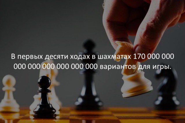 8631411.jpg