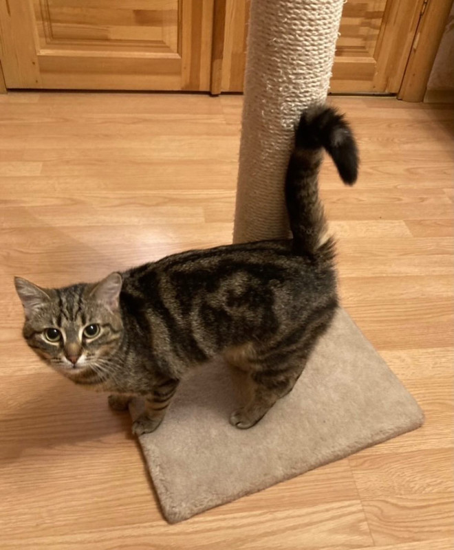 AAE9F492-95CD-4FD4-8D78-12BDE5BE7200