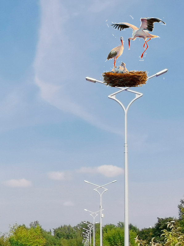 комсомольская аисты