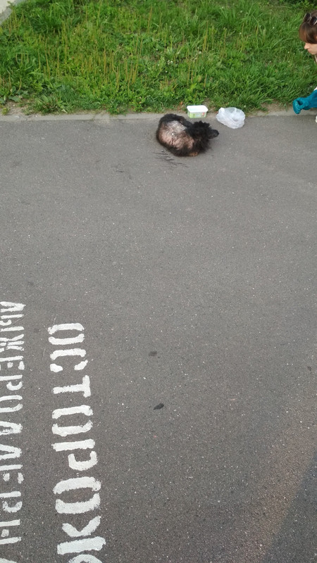 0A9BDE4A-2A40-436F-A165-3F043C29F399