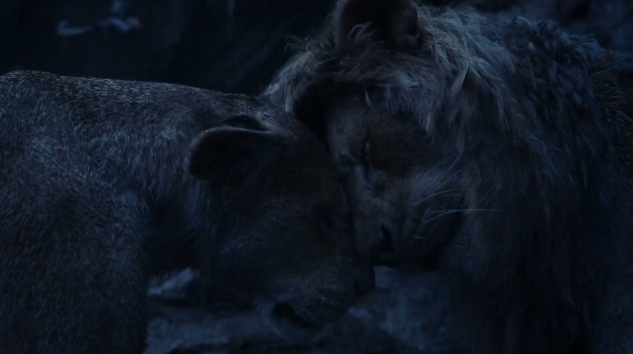 The Lion King 2019 BluRay [Hindi + Tamil + Telugu + English] 480p, 720p, 1080p ESub Screenshot