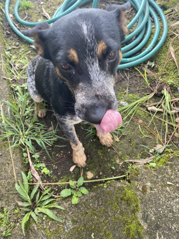 CE62FE53-D4DA-4CD7-ABD7-4E4432F2E8D6