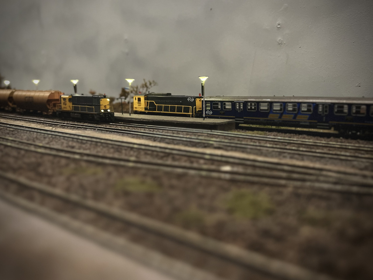 IMG 7609