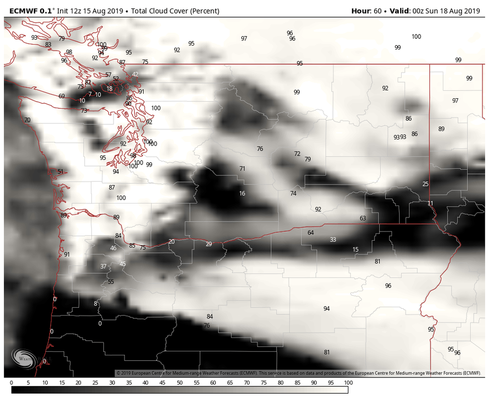 ecmwf-washington-total-cloud-6086400.png