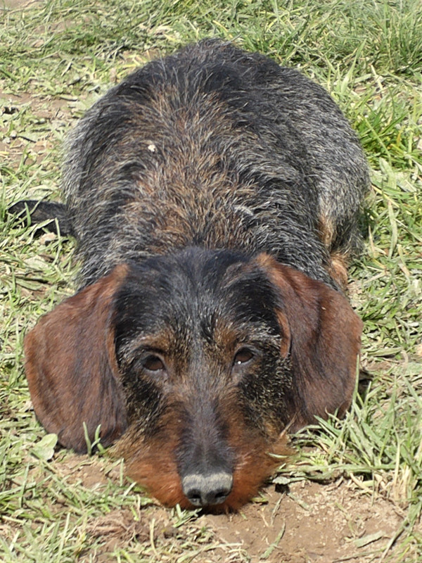 [Image: P1020115.jpg]