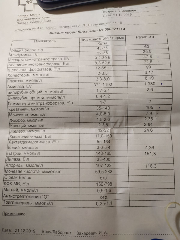 изображение_viber_2019-12-21_15-39-30