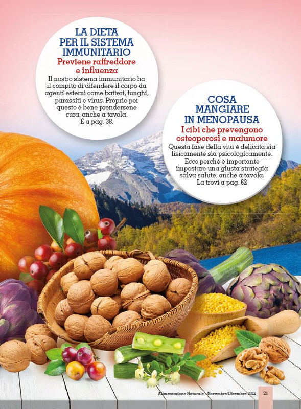 Alim Nat Nov-Dic 2024 (2)