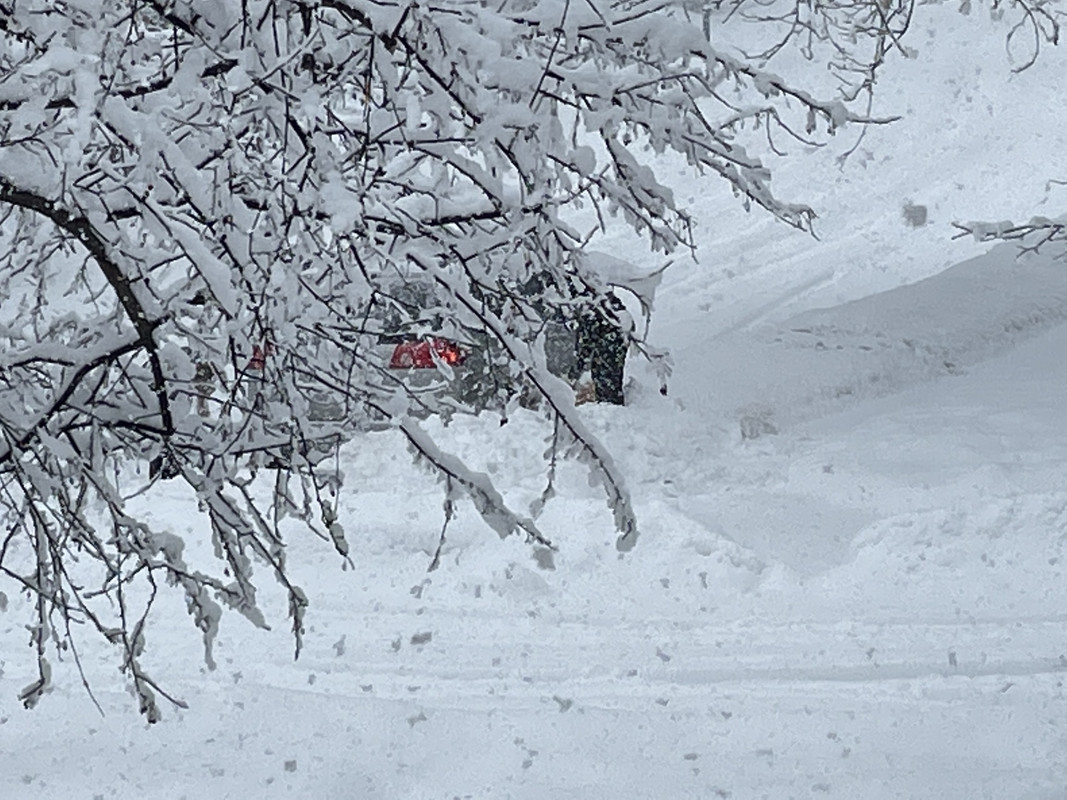 312E0476-7AD1-420D-B814-7B8CE60DF096