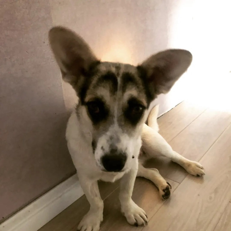 B8CJ5B-bypacQWM8jTWrJ1dZXiTr54oh0zXwa8aIxc8K9_25HBAQ5RWZBpfCzo0Eeyb8V_V5m8zc89igFq2NKQem