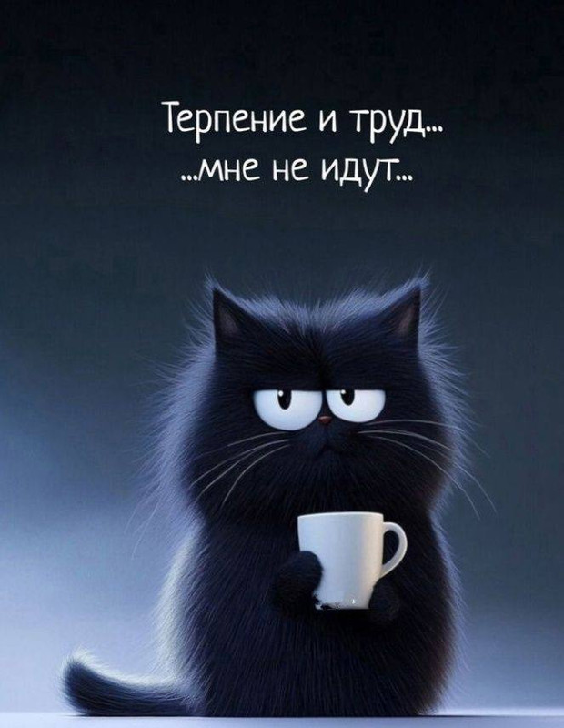 [Изображение: photo-2025-02-10-22-39-48.jpg]