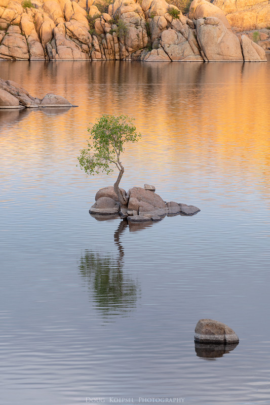 Ed1400-2x3WatsonLk 5--8-19_0025