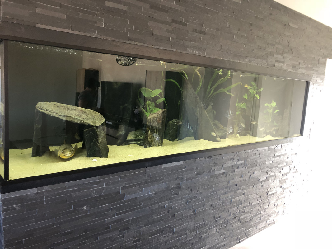 hLzx6BJuSH27aBPs%jTI A