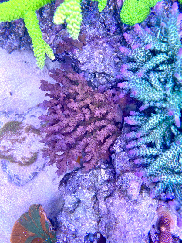 0A224DCD-9531-4989-913F-48B6834889A7