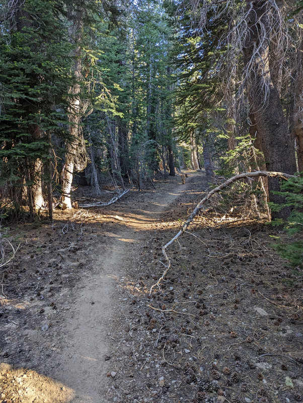 PXL_20250710_150241282