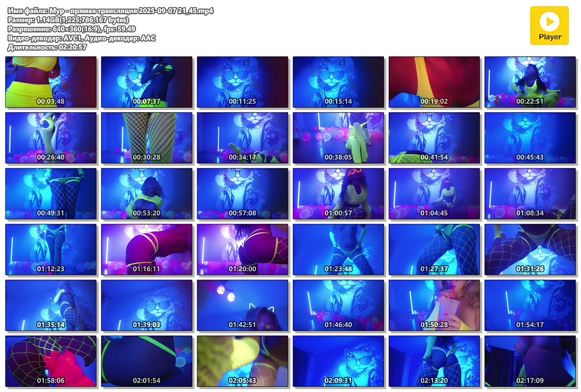 Мур - прямая трансляция 2025-09-07 21_45.mp4_upscayl_2x_upscayl-standard-4x
