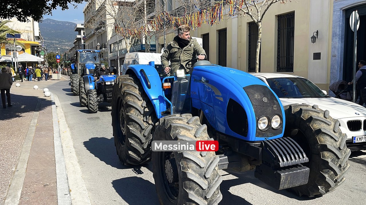 agrotes-IMG-9555