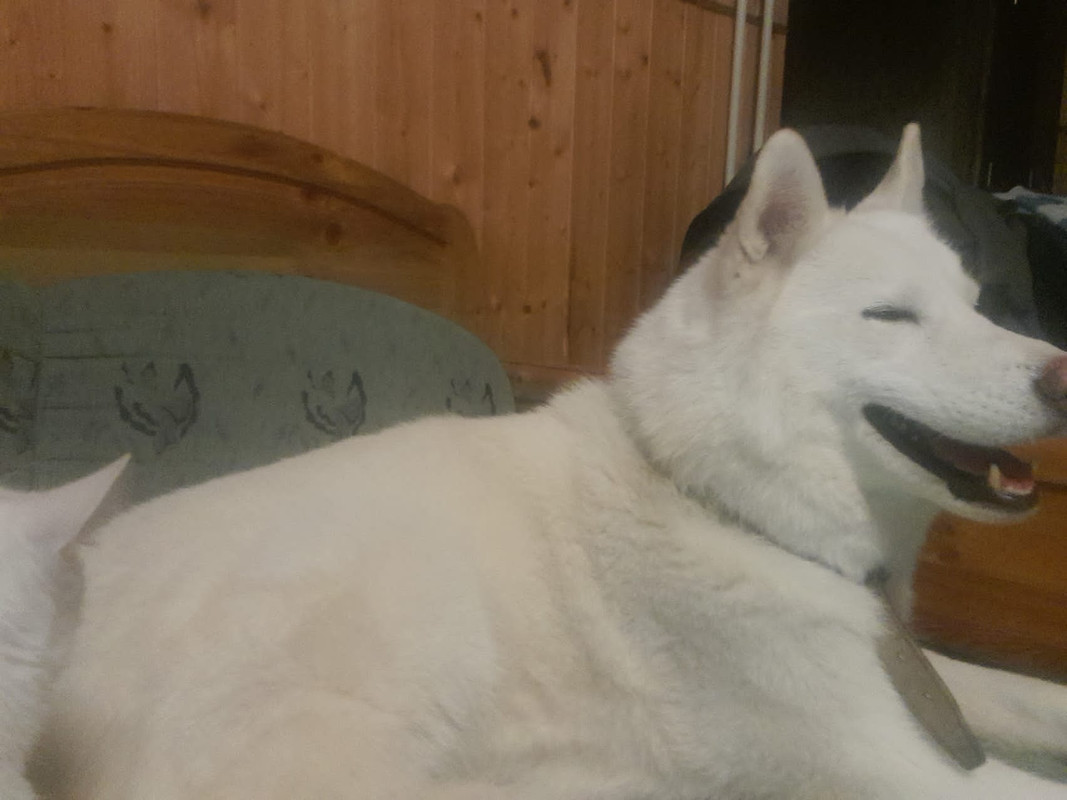 C1BEFA1F-2A95-40CE-BF3B-AD0F8AE7CEB1