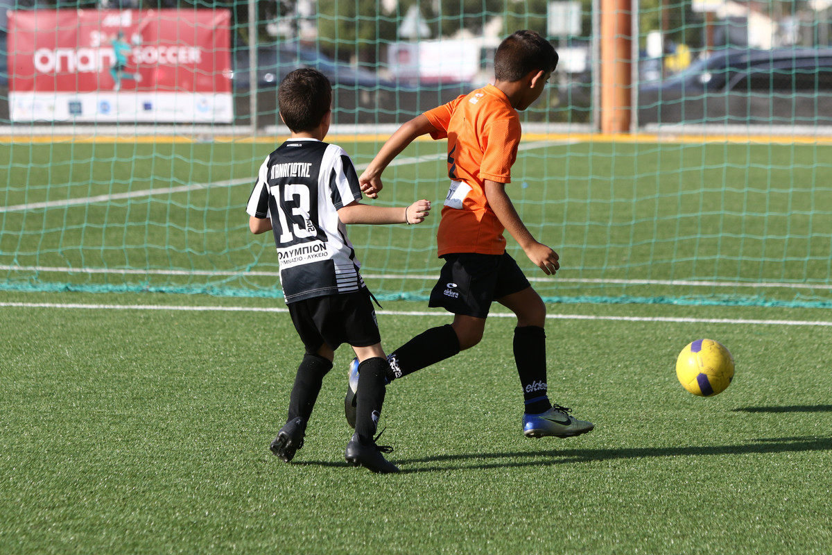 VIK_0397