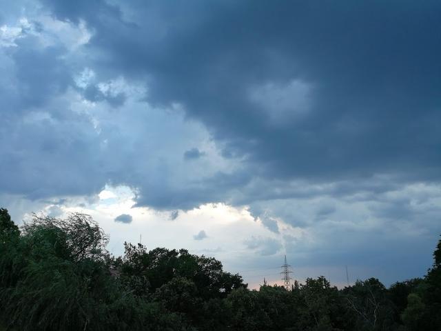 Kép